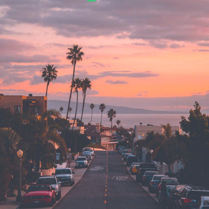 天天干天天爱天天射
